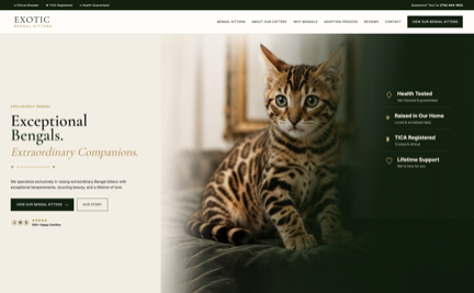 Exotic Hybrid Kittens homepage design